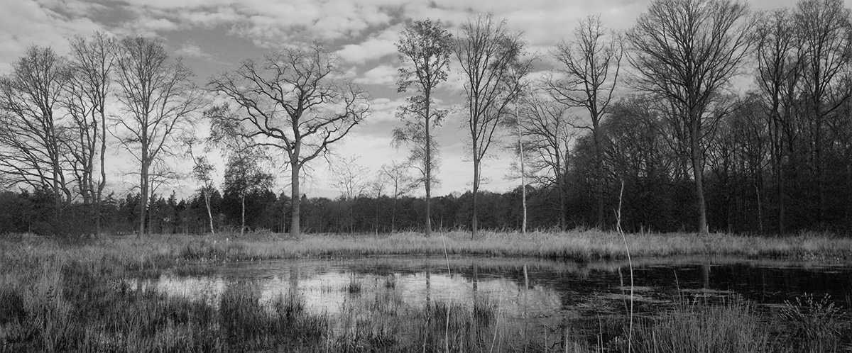 A050_C008_0101MK BW A050_C008_0101MK BW